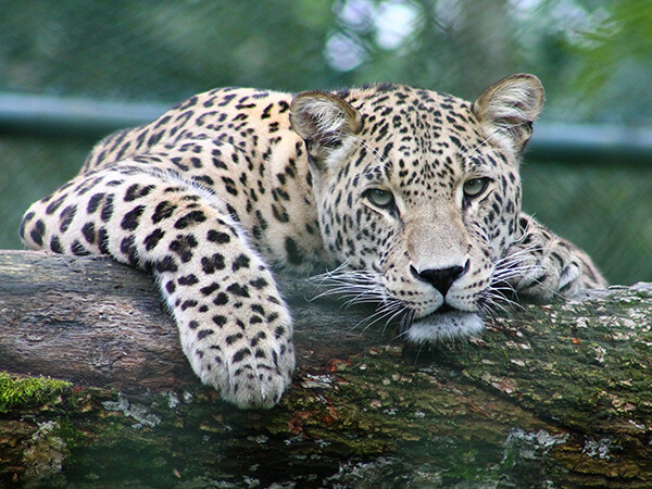 Charity branding: is yourbrand digital ready?